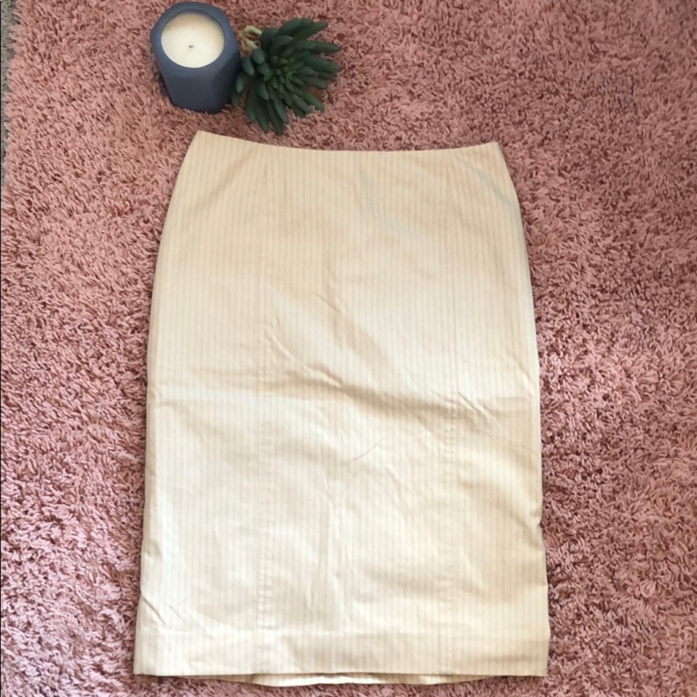 Size 4 Pencil Skirt